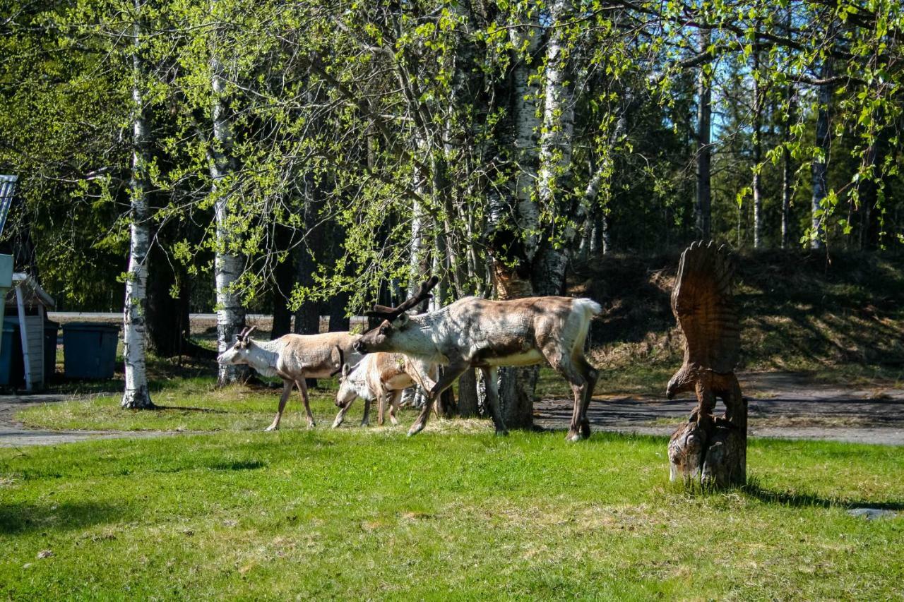 Motelli Rovaniemi Kültér fotó